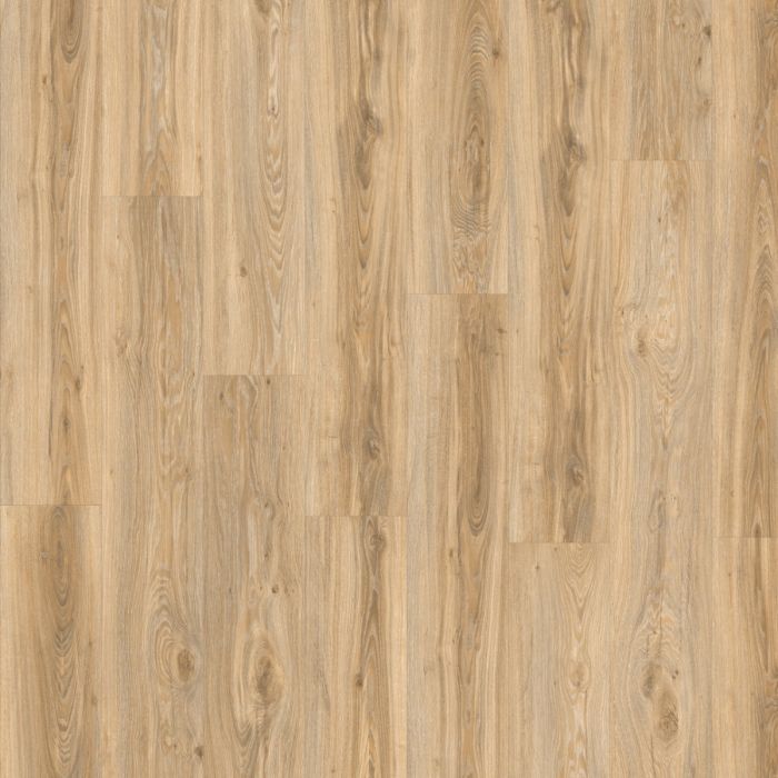 Moduleo Roots 55 Blackjack Oak 22220 pvc vloer: duurzame vloer met eikenhoutlook, ideaal voor een moderne en elegante uitstraling